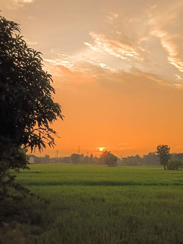 cropped-20cb6fee7b7b998e010bea4fe8bf5628.jpg